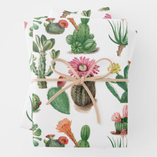 Colorful Waterverf Cactus & Succulents Flowers Inpakpapier Vel