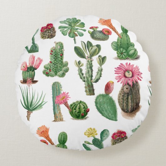 Colorful Waterverf Cactus & Succulents Flowers Rond Kussen (Voorkant)