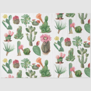 Colorful Waterverf Cactus & Succulents Flowers Tissuepapier
