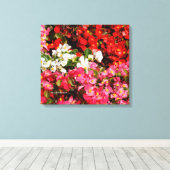 Colorful Wax Begonias Canvas Afdruk (Insitu (Houten vloer))