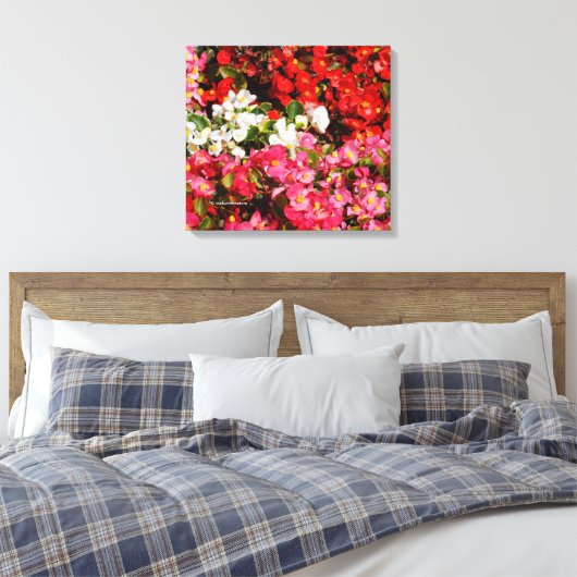 Colorful Wax Begonias Canvas Afdruk (Insitu (Slaapkamer))