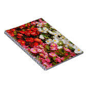 Colorful Wax Begonias Notitieboek (Rechterzijde)