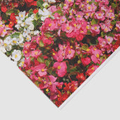 Colorful Wax Begonias Tissuepapier (Detail)