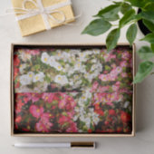 Colorful Wax Begonias Tissuepapier (Geschenk)