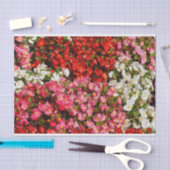 Colorful Wax Begonias Tissuepapier (Craft)