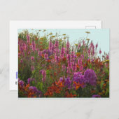 Colorful Wild Flowers DIY Briefkaart (Voorkant / Achterkant)