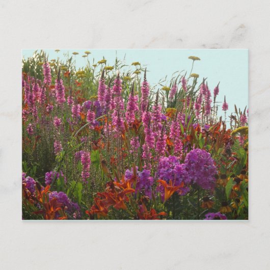 Colorful Wild Flowers DIY Briefkaart (Voorkant)