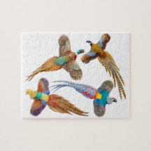 Colorful Wild Pheasants Puzzle
