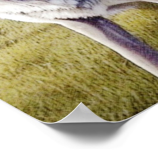 Colorful Wolf Standing Poster (Hoek)