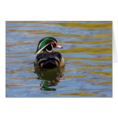 Colorful Wood Duck (Voorkant Horizontaal)