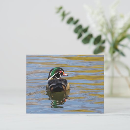 Colorful Wood Duck Briefkaart (Staand voorkant)