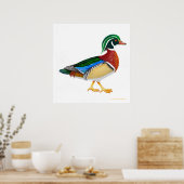 Colorful Wood Duck Drake Print (Keuken)