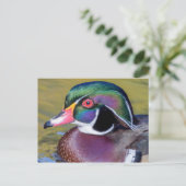 Colorful Wood Duck sluit af Briefkaart (Staand voorkant)