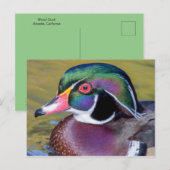 Colorful Wood Duck sluit af Briefkaart (Voorkant / Achterkant)