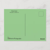 Colorful Wood Duck sluit af Briefkaart (Achterkant)