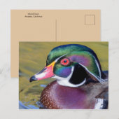 Colorful Wood Duck sluit af Briefkaart (Voorkant / Achterkant)