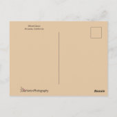 Colorful Wood Duck sluit af Briefkaart (Achterkant)