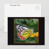 Colorful Yellow Butterfly Briefkaart (Voorkant / Achterkant)