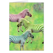 Colorful Zebras