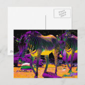 Colorful Zebras Briefkaart (Voorkant / Achterkant)