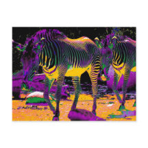 Colorful Zebras