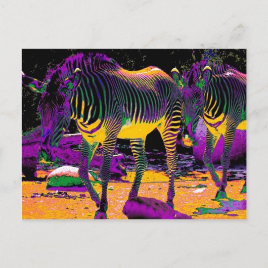 Colorful Zebras Briefkaart (Voorkant)