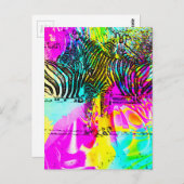 Colorful Zebras Briefkaart (Voorkant / Achterkant)
