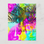Colorful Zebras Briefkaart (Voorkant)