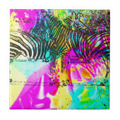Colorful Zebras Tegeltje (Voorkant)