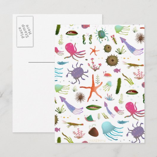 Colorful Zee Life Briefkaart (Voorkant / Achterkant)