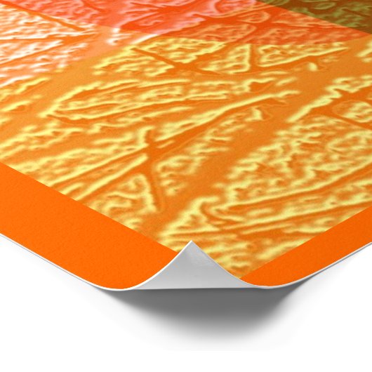 Colorfull Skin Poster (Hoek)