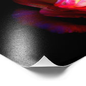 Colori Brillanti Foto Afdruk (Hoek)