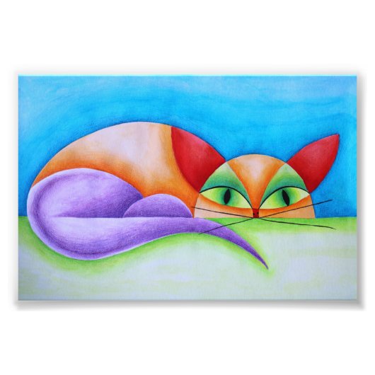 Colorido gato foto afdruk (Voorkant)
