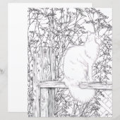 Coloring Page - Cat on Fence (Voorkant / Achterkant)