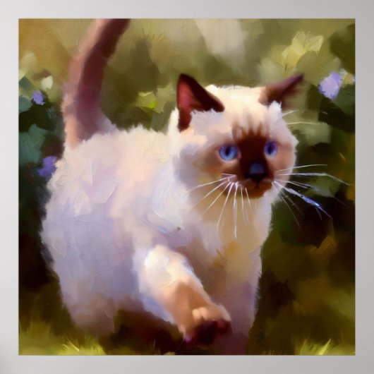 Colorpoint Shorthair Cat Poster (Voorkant)