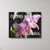 Colors of Colombia Cattleya Orchid Canvas Afdruk (Voorkant)