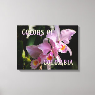 Colors of Colombia Cattleya Orchid Canvas Afdruk