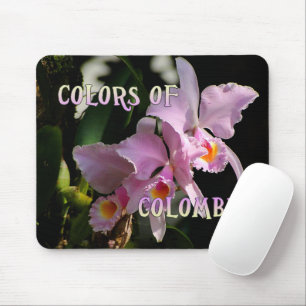 Colors of Colombia Cattleya Orchid Muismat