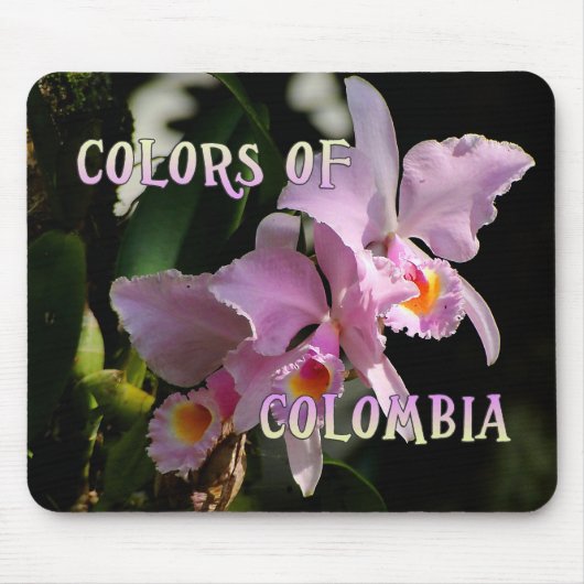 Colors of Colombia Cattleya Orchid Muismat (Voorkant)