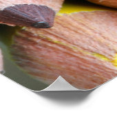 Colors Poster (Hoek)