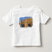 Colossale beelden van goden die de kinder shirts (Voorkant)