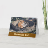 Colosseum Cats Kaart (Voorkant)