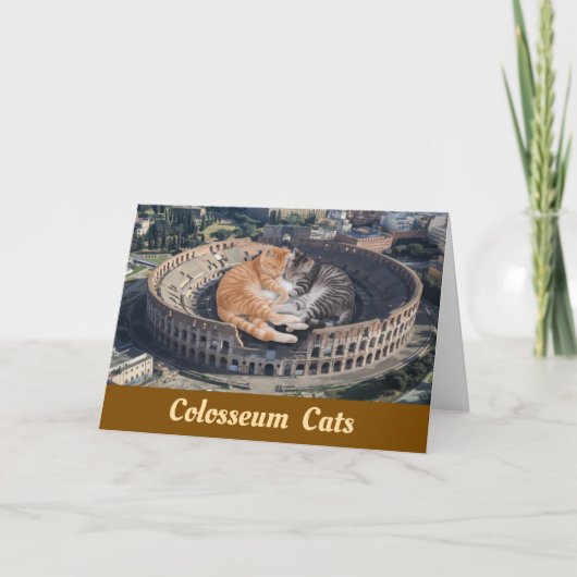 Colosseum Cats Kaart (Voorkant)