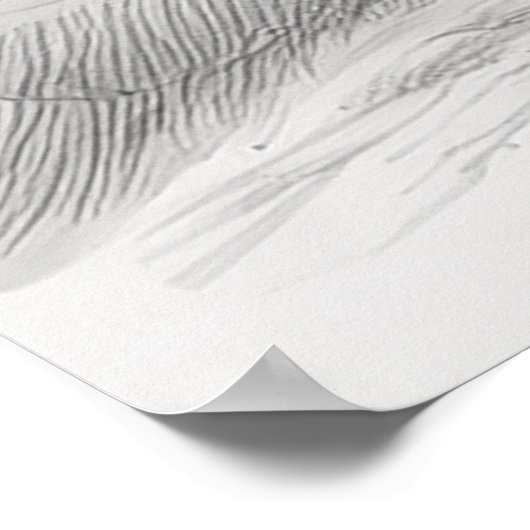 Colosseum historical architecture art drawing in r poster (Hoek)