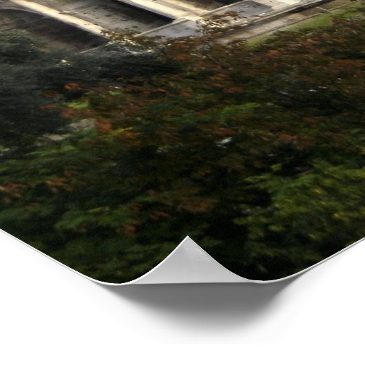 Colosseum Poster (Hoek)