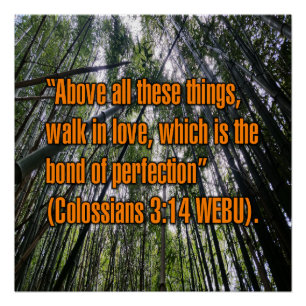 Colossians 3:14 WEBU Perfect Poster