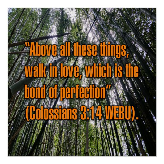 Colossians 3:14 WEBU Perfect Poster (Voorkant)