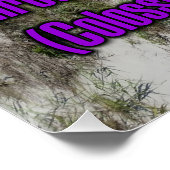 Colossians 3:17 WEBU Perfect Poster (Hoek)