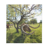 Colossol Texas Longhorn Cattle Notitieblok (Voorkant)