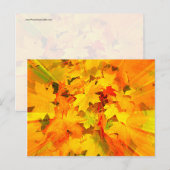 Colour Burst of Fall Leaves Autumn Colors Briefkaart (Voorkant / Achterkant)